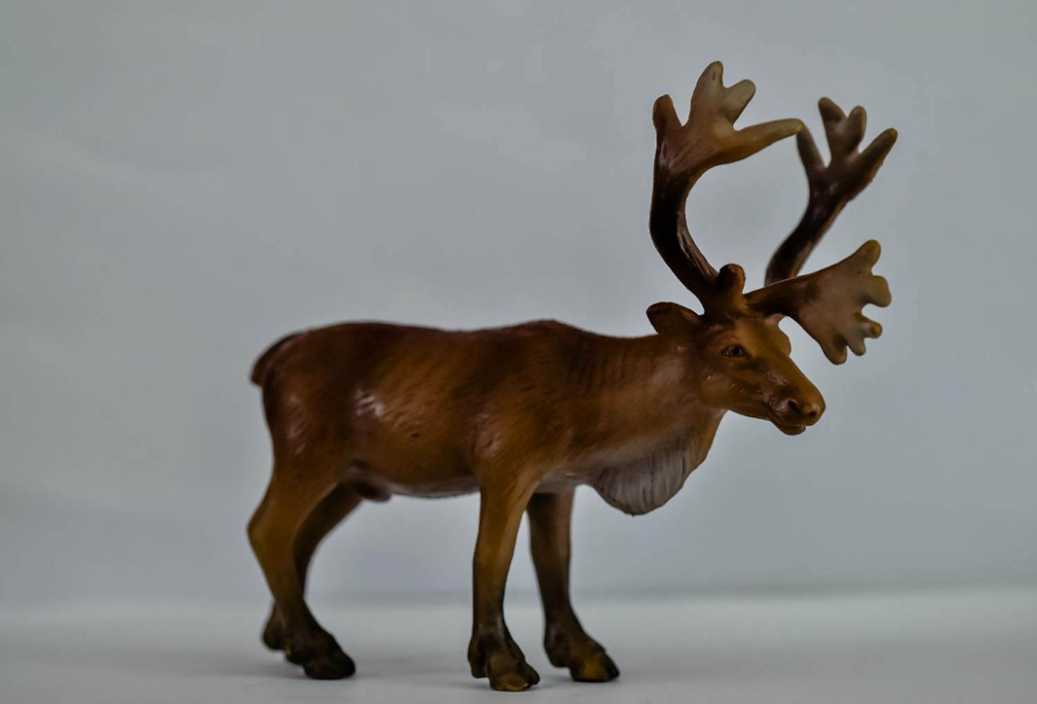 screen shot 2021 02 09 at 11 13 29 Lekereinsdyr fotografert i lystelt